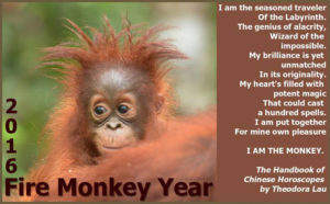 Read more about the article This Year’s Monkey Business